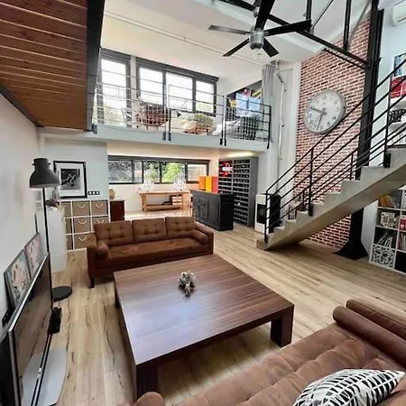 Rare ! Loft Atypique Centre-ville Parking Jardin Reims
