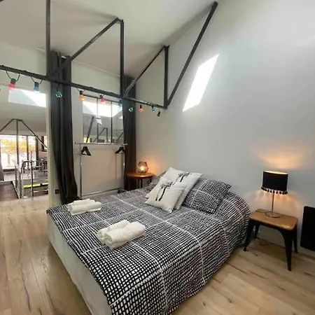 Rare ! Loft Atypique Centre-ville Parking Jardin Holiday home Reims