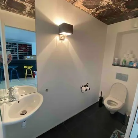 Rare ! Loft Atypique Centre-ville Parking Jardin Holiday home *