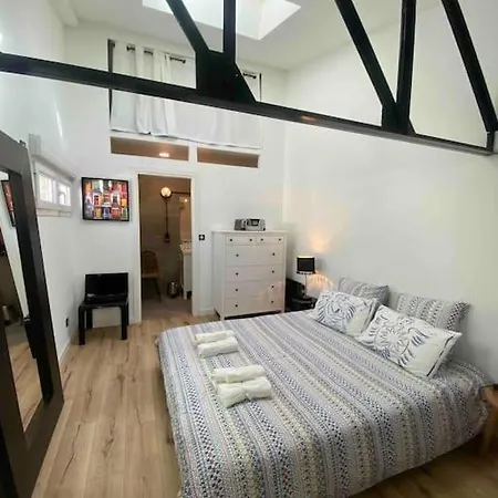 Holiday home Rare ! Loft Atypique Centre-ville Parking Jardin Reims
